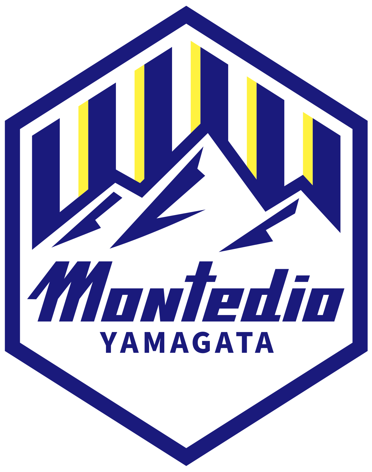 M. Yamagata