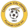 Cessnock City Hornets