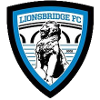 Lionsbridge FC
