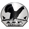 ACS Olimpic Zarnesti