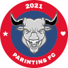 Parintins FC