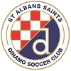 St Albans Saints U23