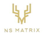 NS Matrix